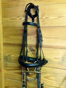 My Bright and Shiny Double Bridle